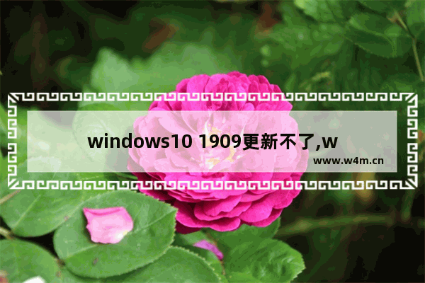 windows10 1909更新不了,win10 1909 03积累更新 无法完成更新