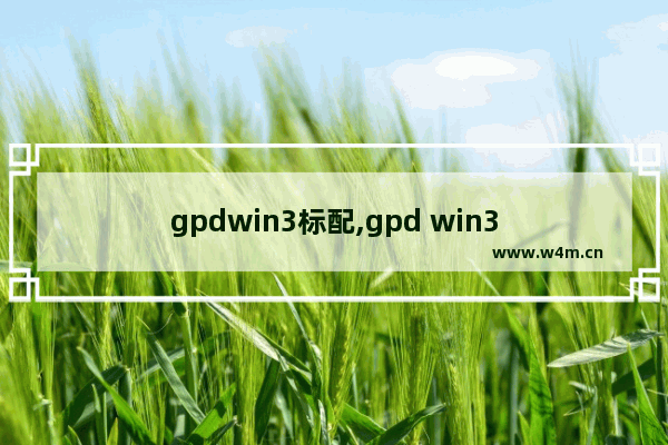 gpdwin3标配,gpd win3