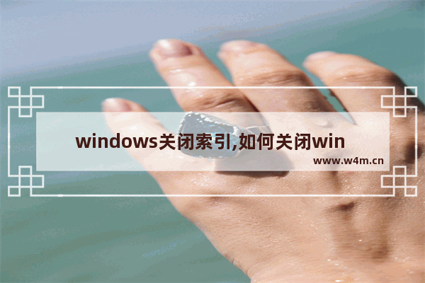 windows关闭索引,如何关闭win 10的搜索栏