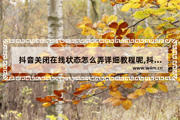 抖音关闭在线状态怎么弄详细教程呢,抖音关闭在线状态怎么弄详细教程图片