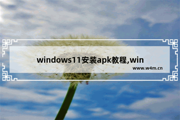 windows11安装apk教程,window11如何安装apk