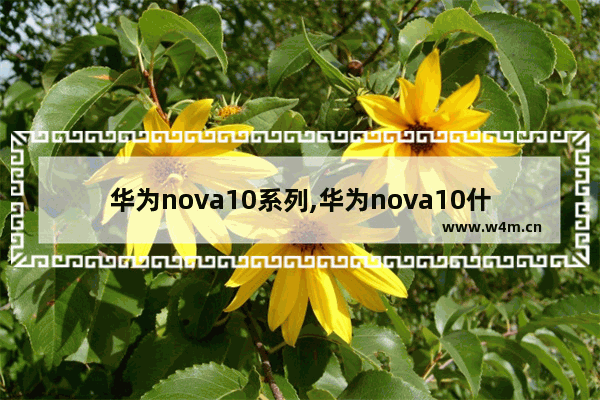 华为nova10系列,华为nova10什么处理器