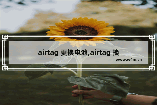 airtag 更换电池,airtag 换电池