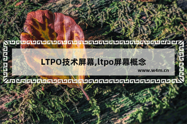 LTPO技术屏幕,ltpo屏幕概念