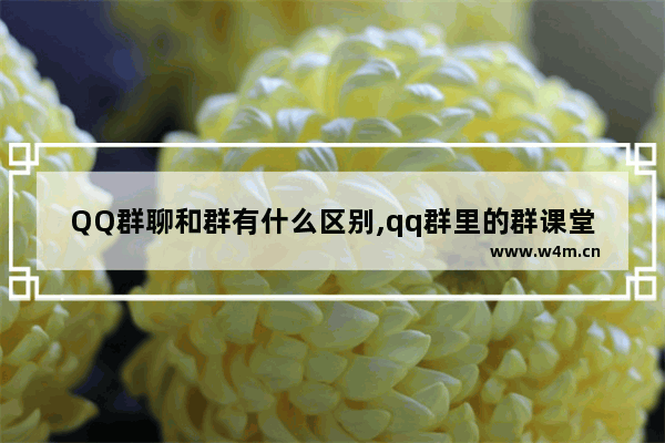 QQ群聊和群有什么区别,qq群里的群课堂和直播间有什么区别