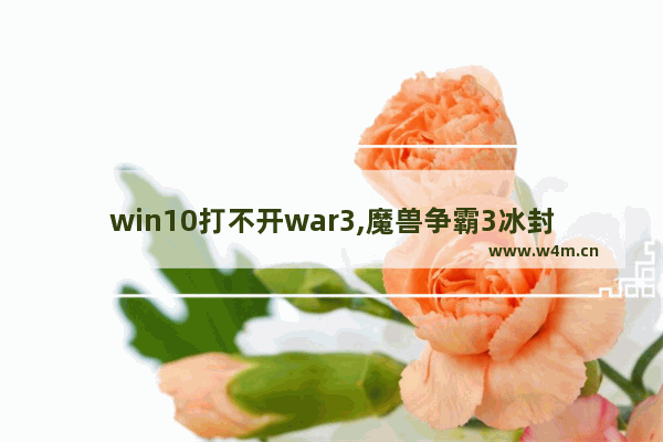 win10打不开war3,魔兽争霸3冰封王座win10为何打不开