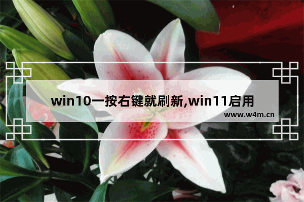 win10一按右键就刷新,win11启用旧右键菜单