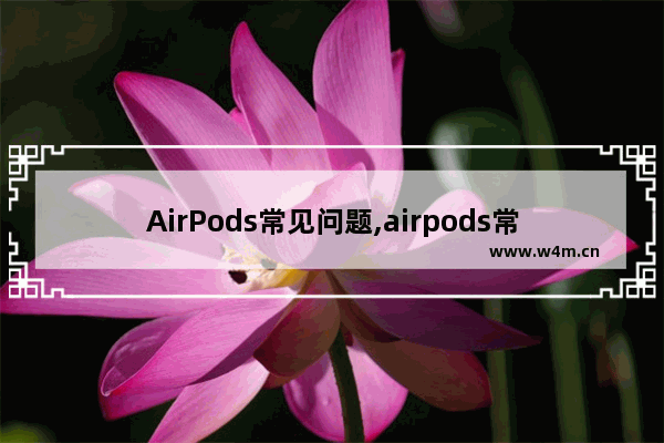 AirPods常见问题,airpods常识