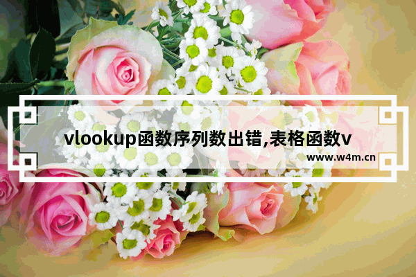 vlookup函数序列数出错,表格函数vlookup常见错误