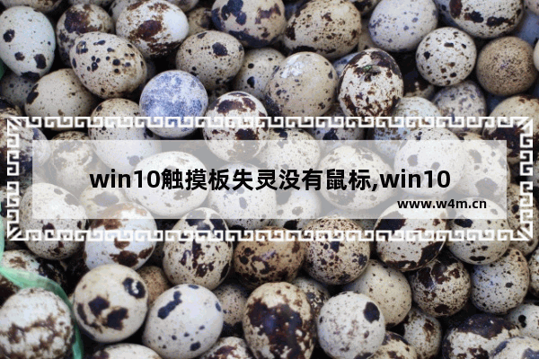 win10触摸板失灵没有鼠标,win10笔记本鼠标触摸板没反应怎么办