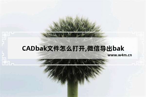 CADbak文件怎么打开,微信导出bak文件怎么打开