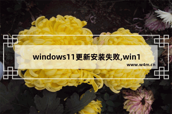 windows11更新安装失败,win10升级win11补丁安装错误