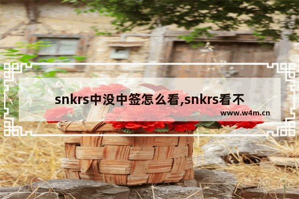 snkrs中没中签怎么看,snkrs看不到中签