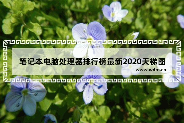 笔记本电脑处理器排行榜最新2020天梯图,笔记本处理器天梯图最全版