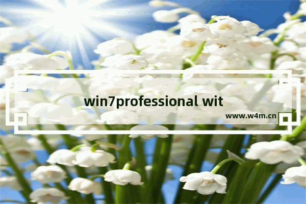 win7professional with是什么版本,windows7professional改成中文版的