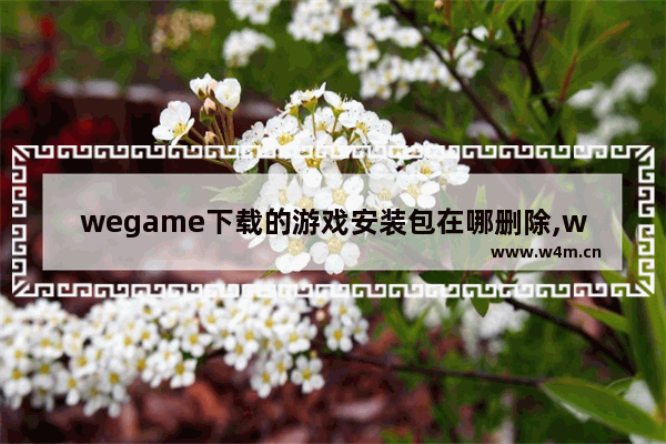 wegame下载的游戏安装包在哪删除,wegame下载后安装包在哪