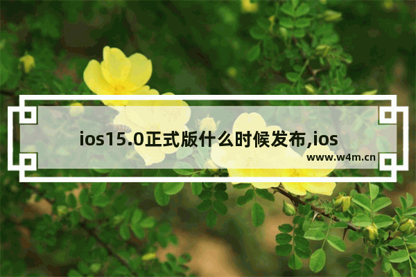 ios15.0正式版什么时候发布,ios15.1正式版发布时间