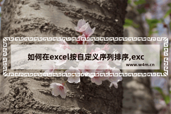 如何在excel按自定义序列排序,excel怎么自定义序列排序