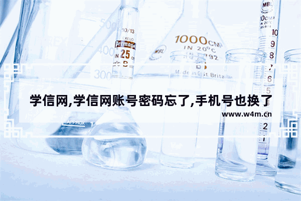 学信网,学信网账号密码忘了,手机号也换了怎么办,密保也忘了