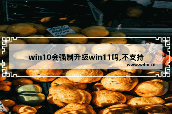 win10会强制升级win11吗,不支持win11的电脑以后会能升级吗