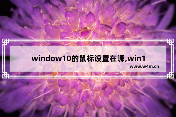 window10的鼠标设置在哪,win10鼠标键盘在哪