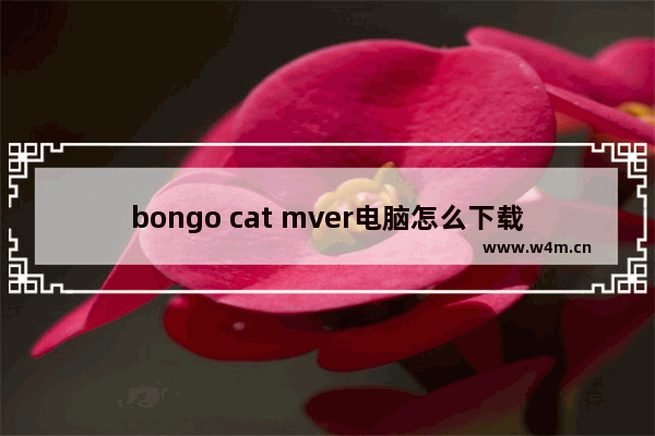 bongo cat mver电脑怎么下载,bongo cat mver使用教程