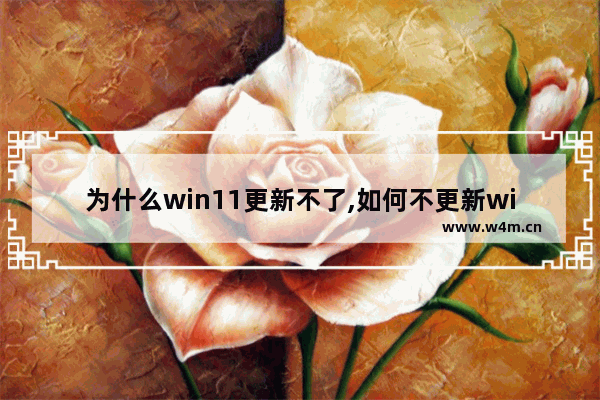 为什么win11更新不了,如何不更新win11