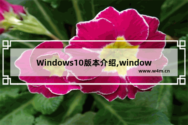 Windows10版本介绍,windows10 系统版本