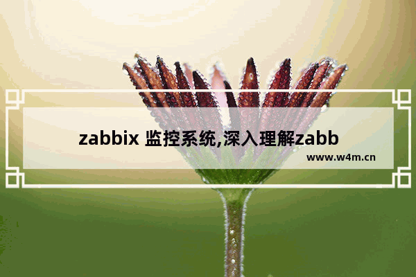 zabbix 监控系统,深入理解zabbix监控系统pdf