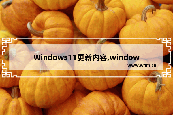 Windows11更新内容,windows11设置在哪