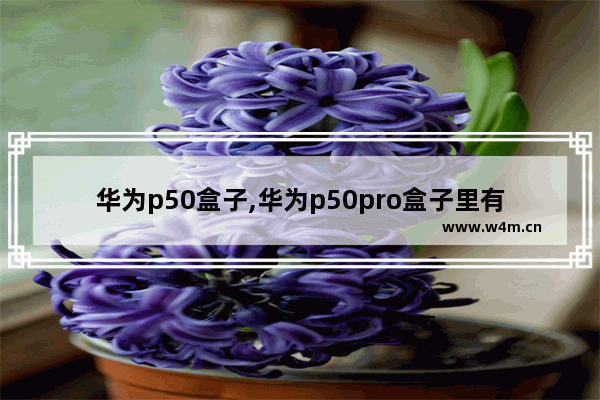 华为p50盒子,华为p50pro盒子里有什么