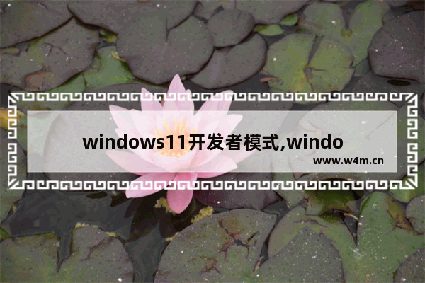 windows11开发者模式,windows10开发者模式怎么打开