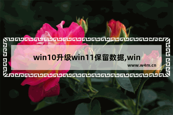 win10升级win11保留数据,win11更新保留数据吗