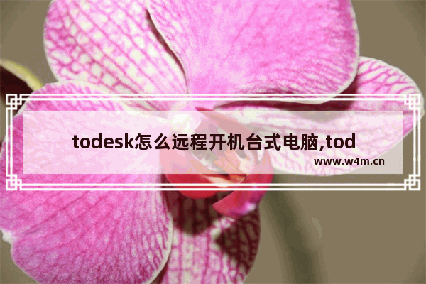 todesk怎么远程开机台式电脑,todesk怎么远程控制