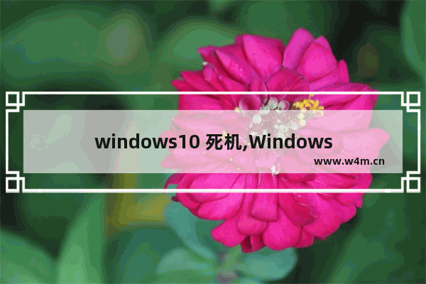 windows10 死机,Windows10 死机