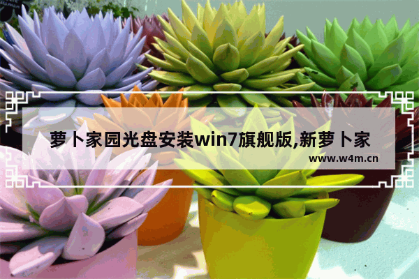 萝卜家园光盘安装win7旗舰版,新萝卜家园win7系统光盘安装教程图解