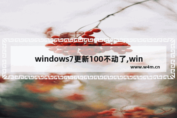 windows7更新100不动了,win7配置更新100%不动开机不了