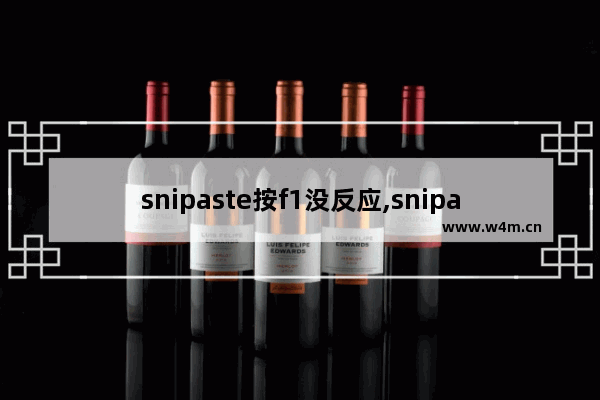 snipaste按f1没反应,snipaste f1没用