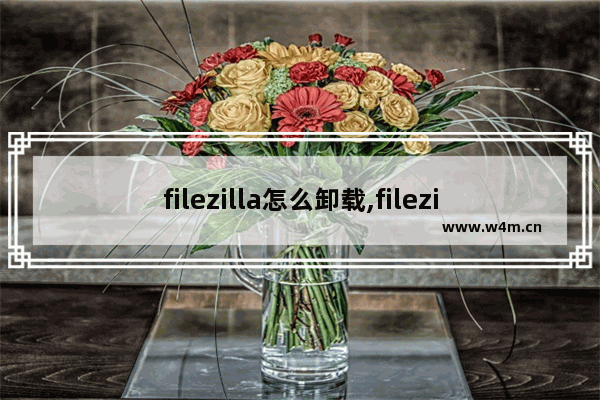 filezilla怎么卸载,filezilla删除服务器文件