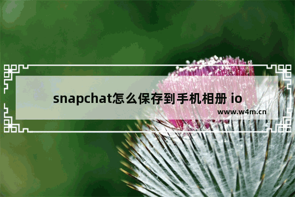 snapchat怎么保存到手机相册 ios,怎么把snapchat的照片保存到手机