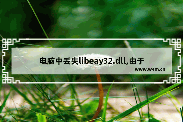 电脑中丢失libeay32.dll,由于找不到libeay32.dll,无法继续执行代码