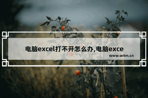 电脑excel打不开怎么办,电脑excel无法打开怎么办