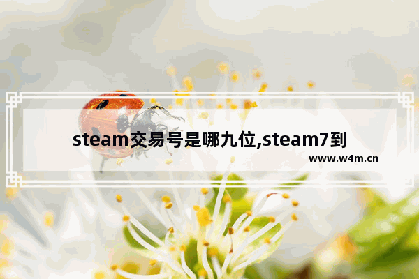 steam交易号是哪九位,steam7到9位数的交易号是哪个