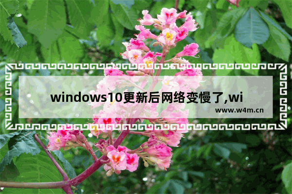 windows10更新后网络变慢了,win10更新速度太慢