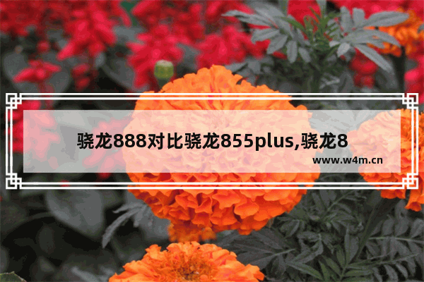 骁龙888对比骁龙855plus,骁龙888 对比