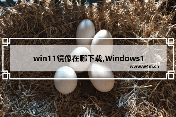 win11镜像在哪下载,Windows11镜像下载