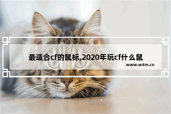 最适合cf的鼠标,2020年玩cf什么鼠标好