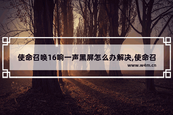 使命召唤16响一声黑屏怎么办解决,使命召唤16 黑屏有声音