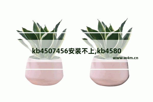 kb4507456安装不上,kb4580325安装失败