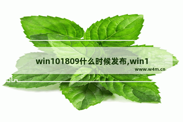 win101809什么时候发布,win101903什么时候发布